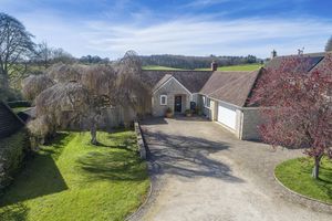 Front- click for photo gallery